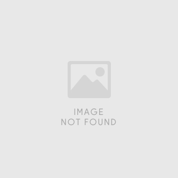 R-Panel Poly Skylight Clear - 12'